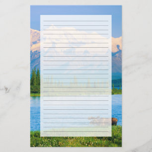 Bull moose in Wonder Lake Stationery