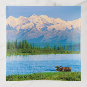 Bull moose in Wonder Lake Trinket Tray