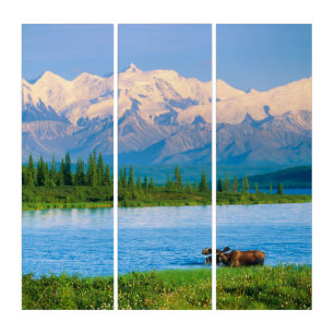Bull moose in Wonder Lake Triptych