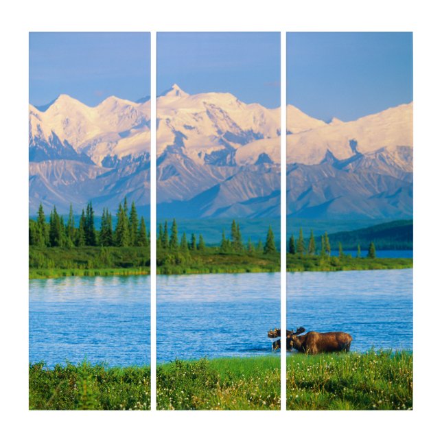 Bull moose in Wonder Lake Triptych (Front)