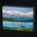 Bull moose in Wonder Lake Wooden Box Sign<br><div class="desc">Wonder Lake,  Bull moose feeds on vegetation,  Alaska mountains in the distance,  Denali National Park,  Alaska</div>