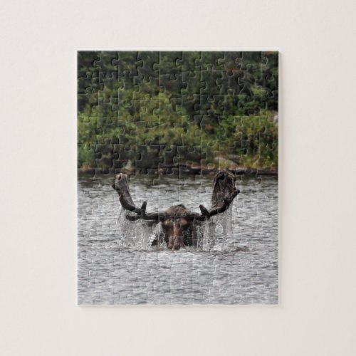 Bull Moose Jigsaw Puzzle