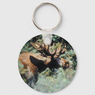 Bull moose keychain