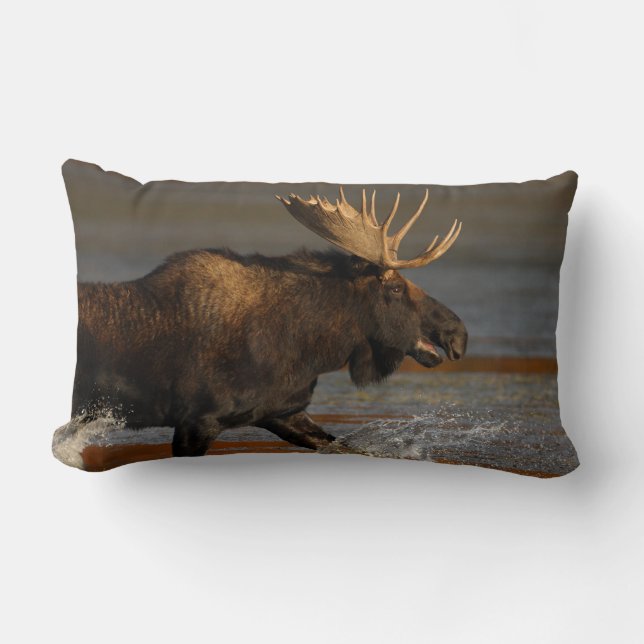 Bull Moose Lumbar Pillow (Front)