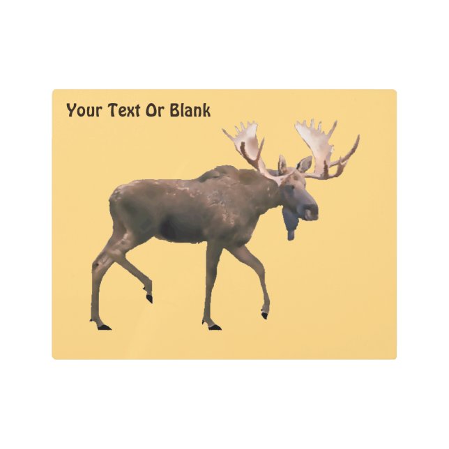 Bull Moose Metal Print (Front)