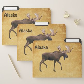 Bull Moose On Old Paper