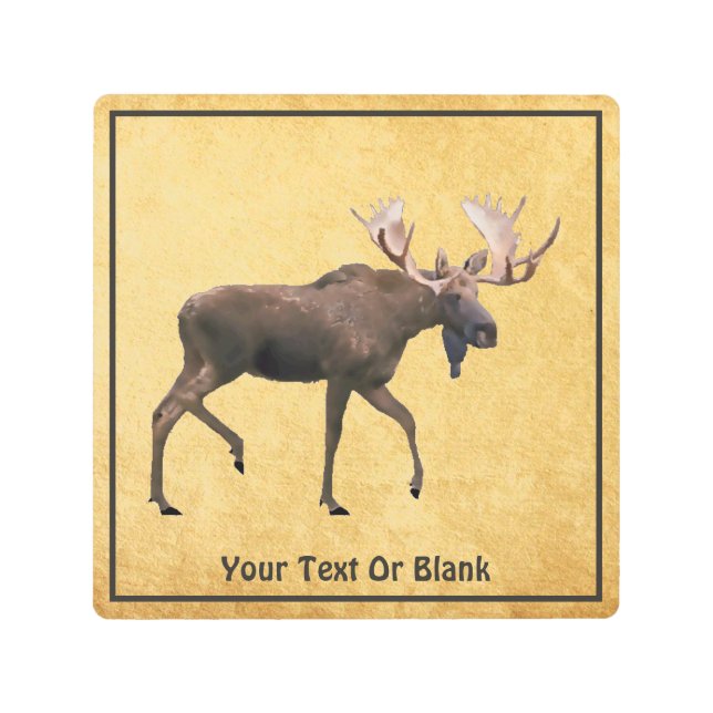 Bull Moose On Old Paper Metal Print (Front)