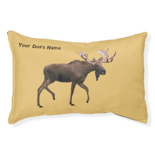 Bull Moose Pet Bed
