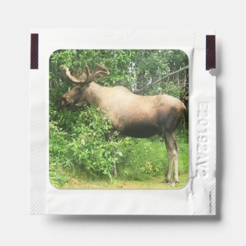Bull Moose Photo Designed Hand Sanitizer Packet