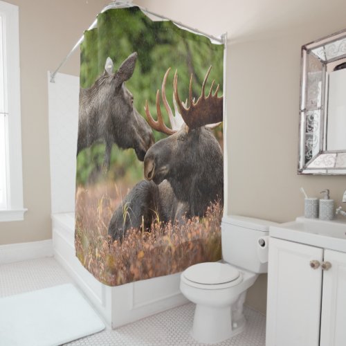 Bull Moose Shower Curtain