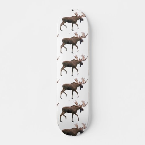 Bull Moose Skateboard