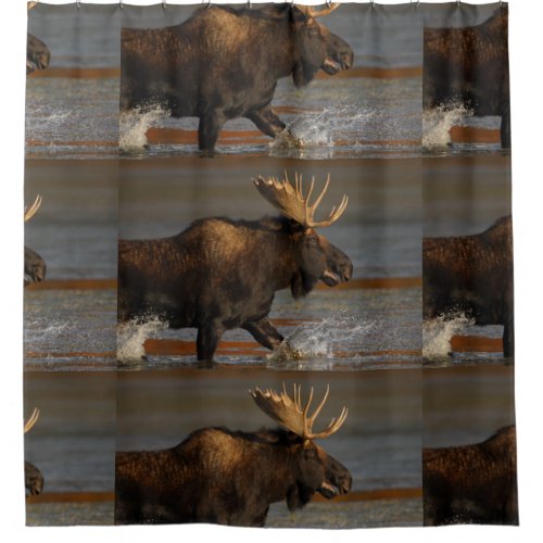 Bull Moose Splashing Shower Curtain