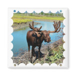 Bull Moose Square Magnet