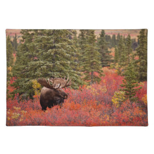 Bull Moose Standing In Red Dwarf Birch Cloth Placemat
