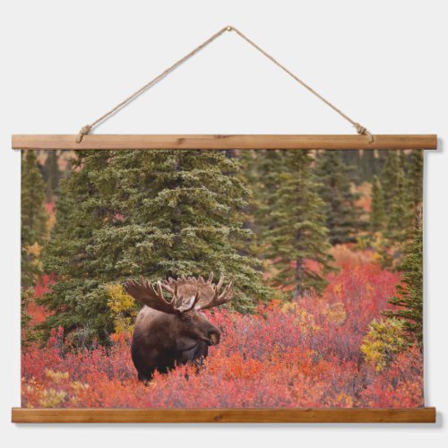 Bull Moose Standing In Red Dwarf Birch Hanging Tapestry