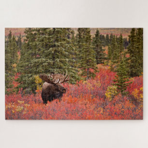 Bull Moose Standing In Red Dwarf Birch Jigsaw Puzzle