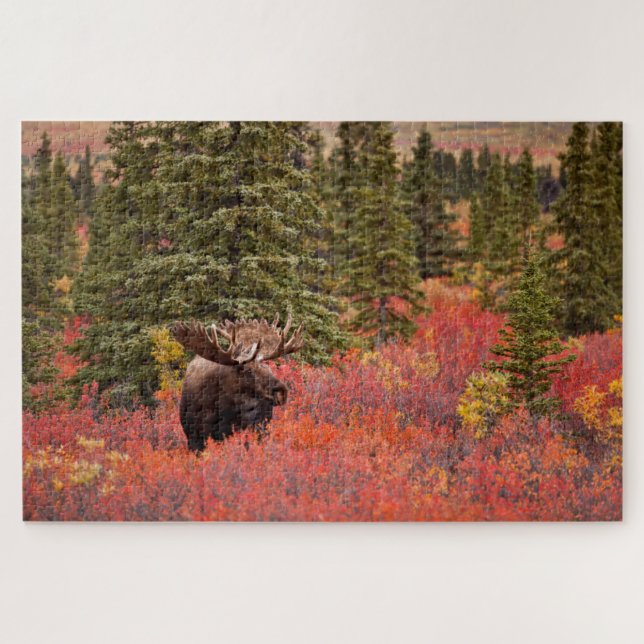 Bull Moose Standing In Red Dwarf Birch Jigsaw Puzzle (Horizontal)