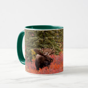 Bull Moose Standing In Red Dwarf Birch Mug