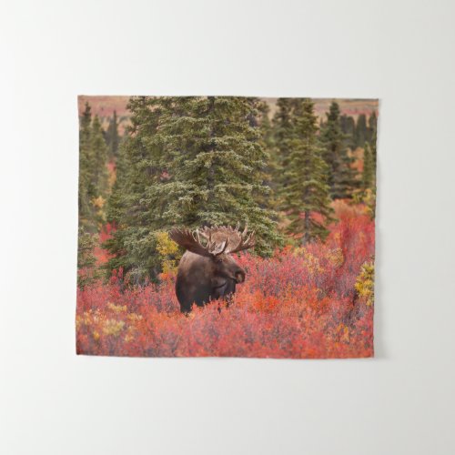 Bull Moose Standing In Red Dwarf Birch Tapestry