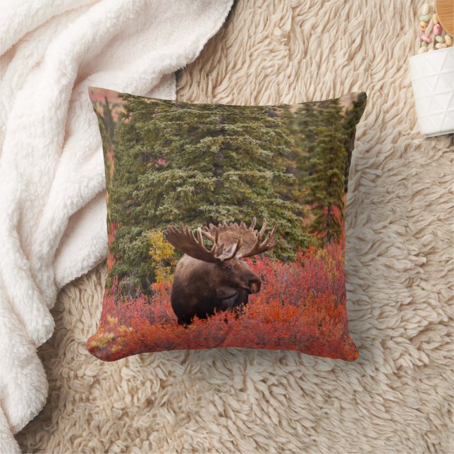 Bull Moose Standing In Red Dwarf Birch Throw Pillow (Blanket)