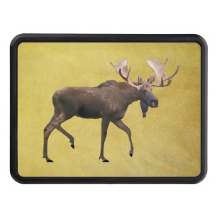 Bull Moose Trailer Hitch Cover