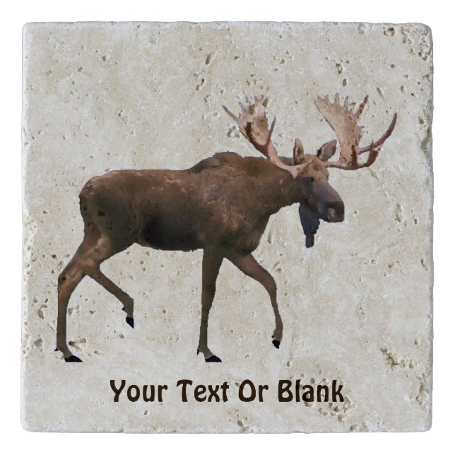 Bull Moose Trivet (Front)