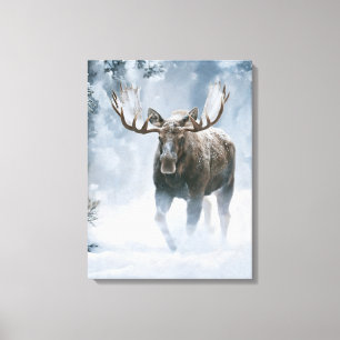 Bull Moose Walking Through Boreal Snow Canvas Print