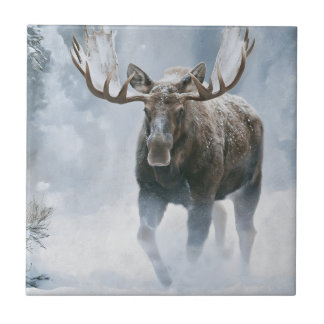 Bull Moose Walking Through Boreal Snow Ceramic Tile