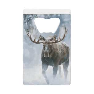 Bull Moose Walking Through Boreal Snow Credit Card Bottle Opener