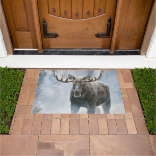 Bull Moose Walking Through Boreal Snow Doormat