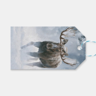 Bull Moose Walking Through Boreal Snow Gift Tags