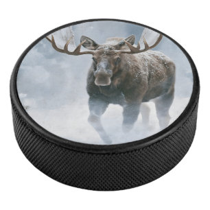 Bull Moose Walking Through Boreal Snow Hockey Puck
