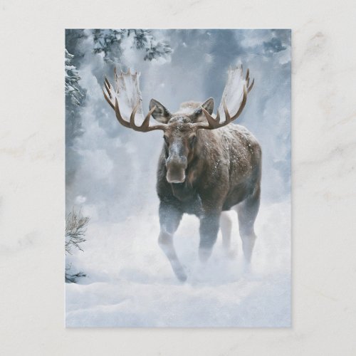 Bull Moose Walking Through Boreal Snow Postcard