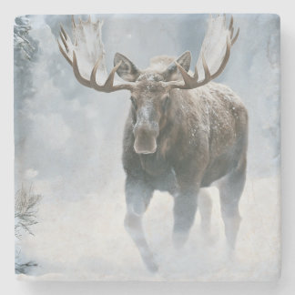Bull Moose Walking Through Boreal Snow Stone Coaster