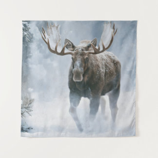 Bull Moose Walking Through Boreal Snow Tapestry