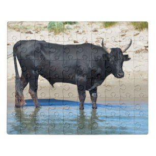Bull of Camargue in France Jigsaw Puzzle
