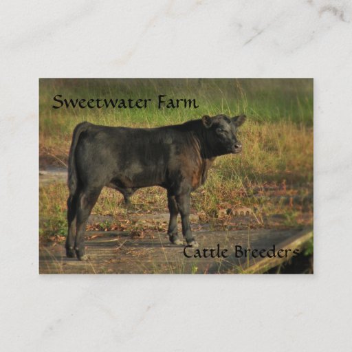 Customizable Bull or Cattle Farm Chubby Business Card