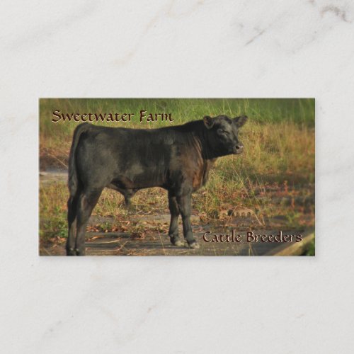 Bull or Cattle Farm Standard Business Card