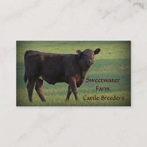 Customizable Bull or Cattle Farm Standard Business Card 2