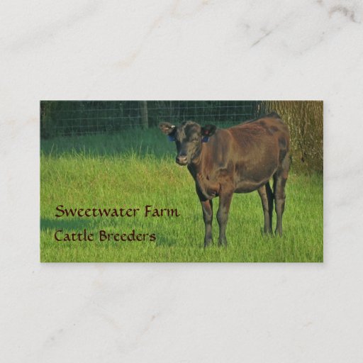 Customizable Bull or Cattle Farm Standard Business Card 3