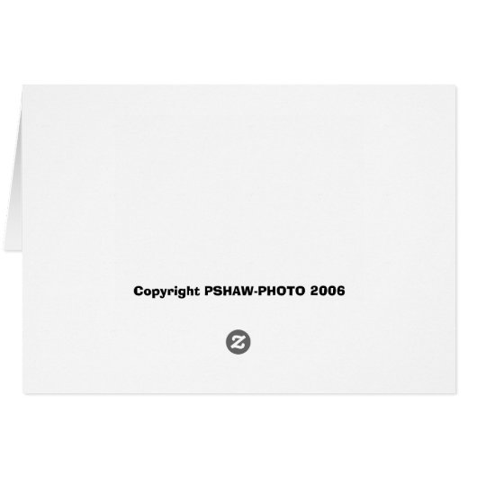 Bull rider gets airlifted (Back Horizontal)