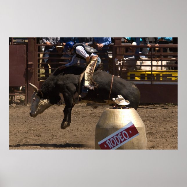 Bull rider hangs on for dear life poster (Front)