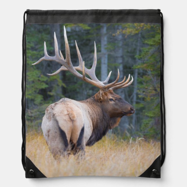 Bull Rocky Mountain Elk Drawstring Bag (Front)