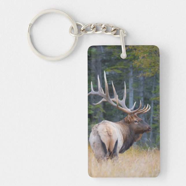 Bull Rocky Mountain Elk Keychain (Front)