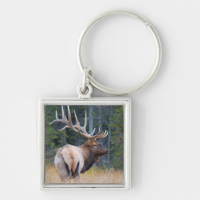 Bull Rocky Mountain Elk Keychain (Front)