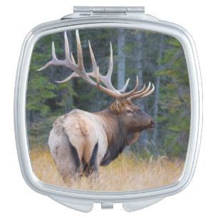 Bull Rocky Mountain Elk Mirror For Makeup