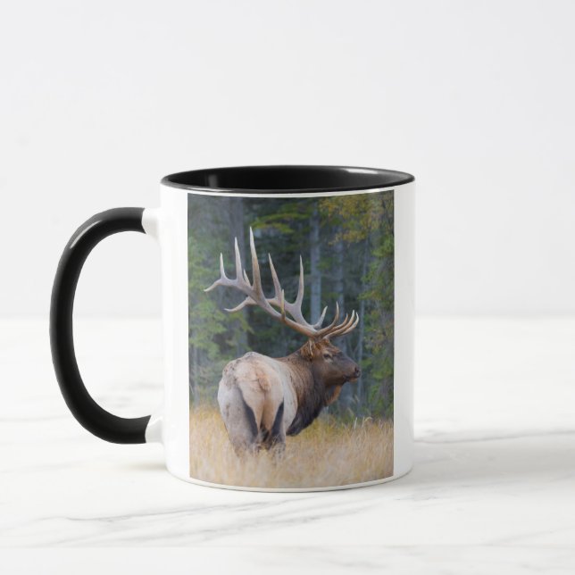 Bull Rocky Mountain Elk Mug (Left)