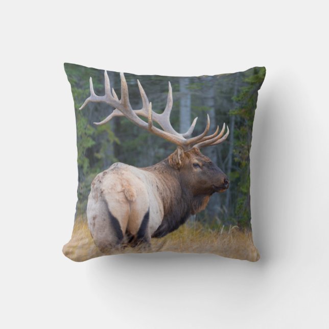 Bull Rocky Mountain Elk Throw Pillow (Front)