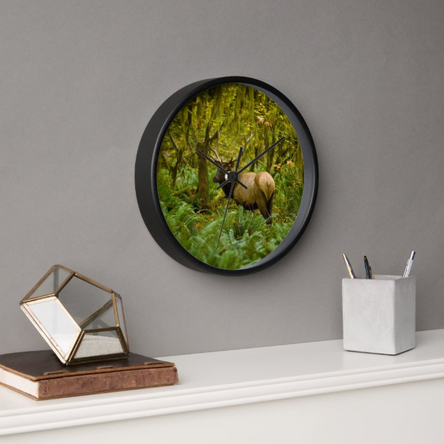 Bull Roosevelt Elk Clock (Office)