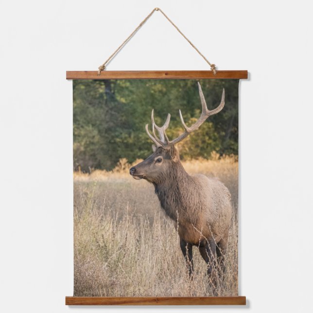 Bull Roosevelt Elk in grass | Washington State Hanging Tapestry (Front)